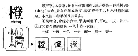 橙橙的名字|带橙字的名字